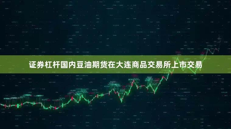 证券杠杆国内豆油期货在大连商品交易所上市交易