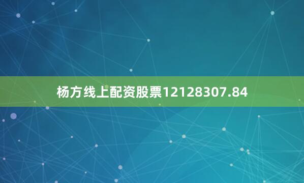 杨方线上配资股票12128307.84